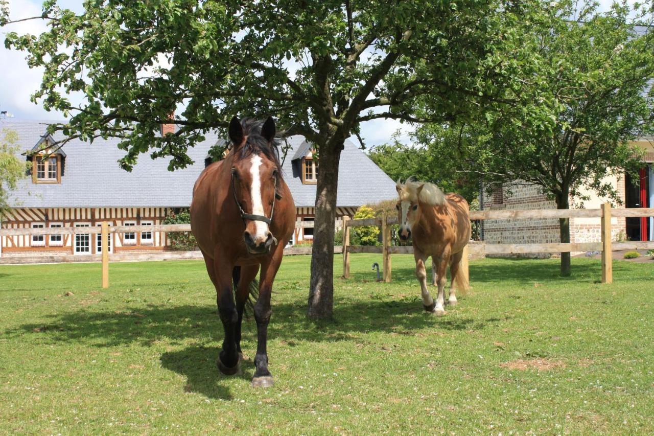 Le Clos Marie Bed & Breakfast Sausseuzemare-en-Caux ภายนอก รูปภาพ