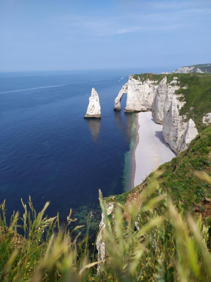 Le Clos Marie Bed & Breakfast Sausseuzemare-en-Caux ภายนอก รูปภาพ